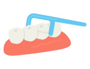 鹿児島　歯医者　フロスの使用法