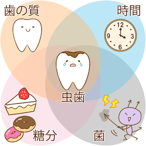 鹿児島　歯医者　4遺伝的にう蝕になりやすい人はいる？